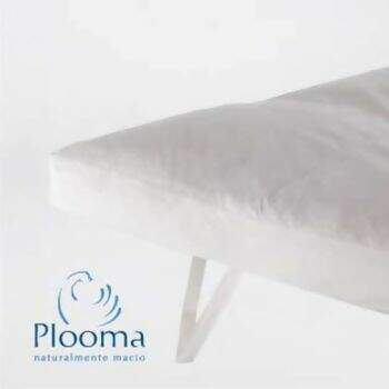 Pillow Top Plooma 80% Pena 20% Pluma de Ganso Casal