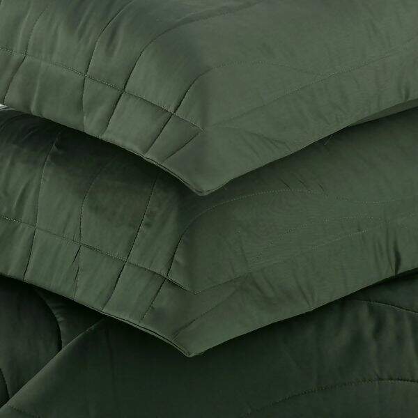 Trussardi-300f-NOVARA-FOGLIA-4