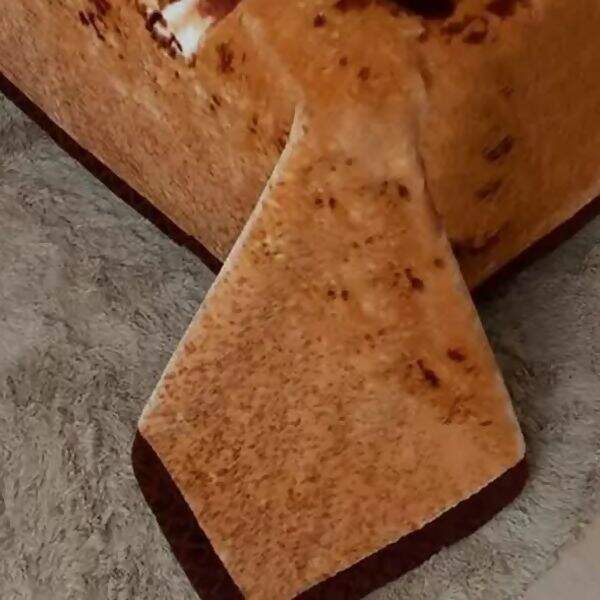 jolitex-raschel-leao-2