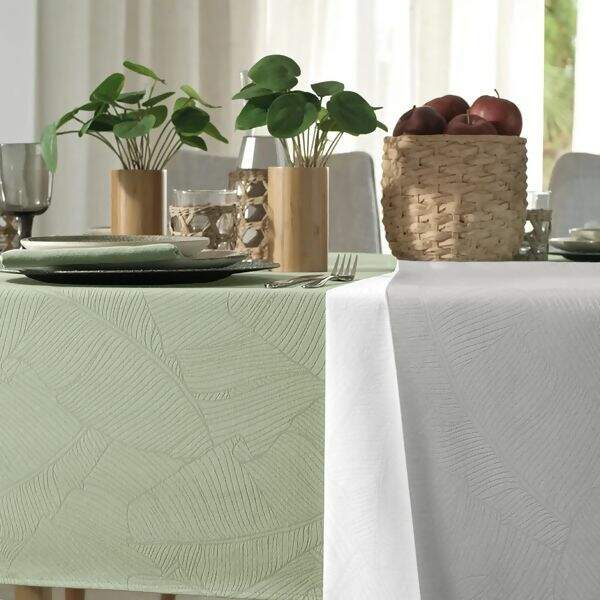 karsten-mesa-herbare