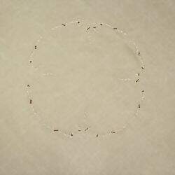 ARGIVAI-DOMUS-TOALHA-DETALHE-RED-3