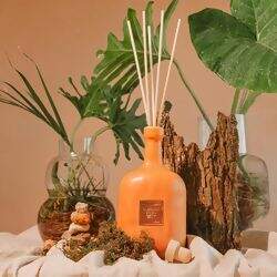 DaniFernandes-Dif-Raizes-2