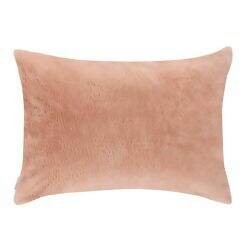 altenburg-BLEND-NORD-PORTA-ROSE