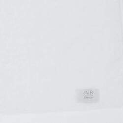 budd-air-det-1011-br