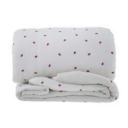 kacymara-vida-bela-joaninha-edr