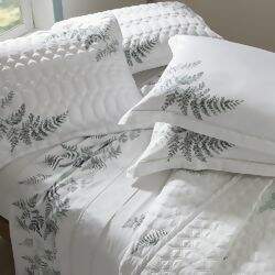 kacyumara-lazio-felce-1