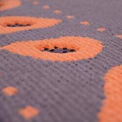 vizapi-PAPAIA-passadeira-3